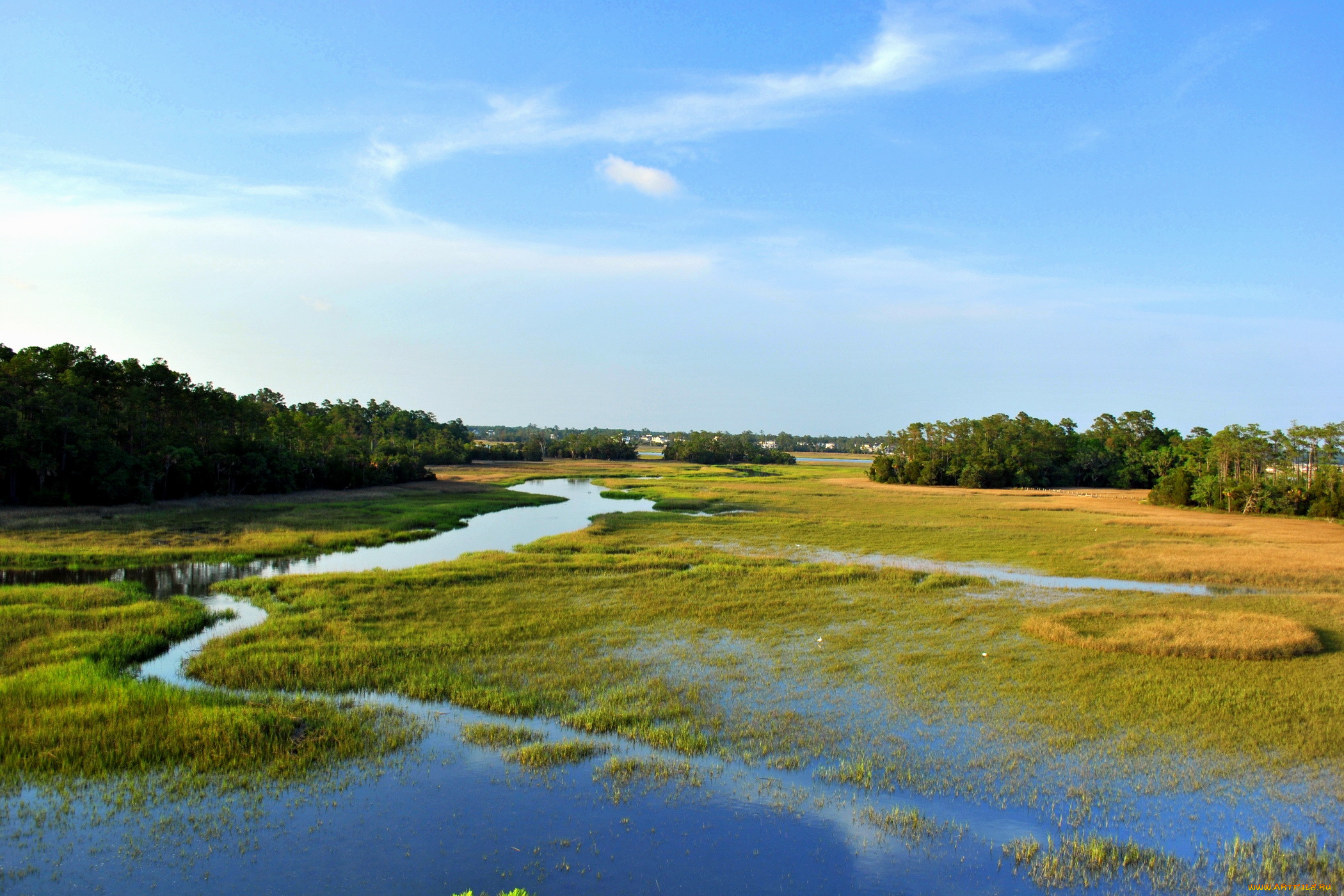 , , , charleston, usa, palmetto, islands, county, park